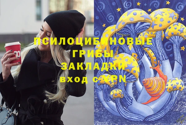 а пвп мука Верхний Тагил